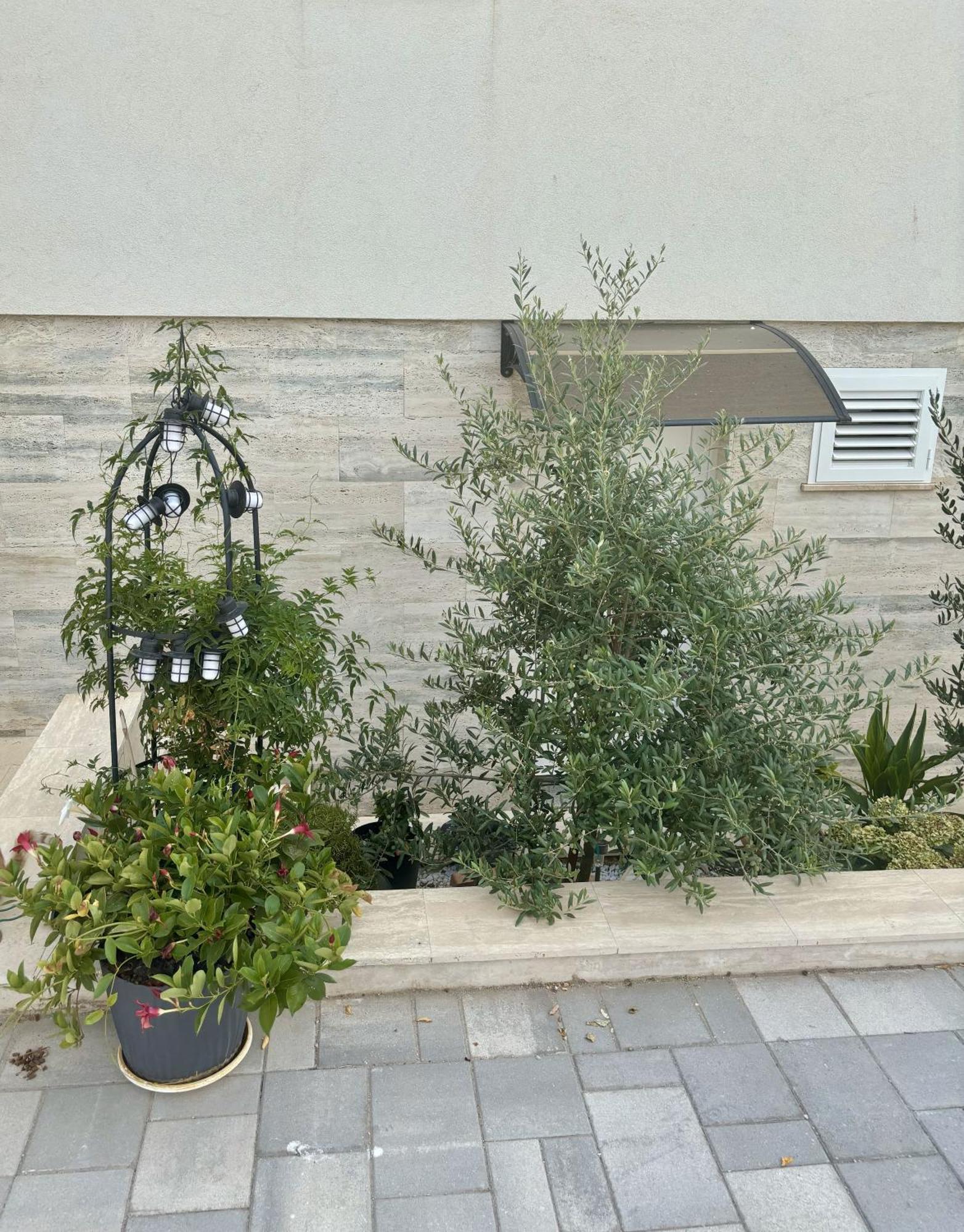 Vila Regina Apartment Rex With Swimming Pool 제제라 외부 사진