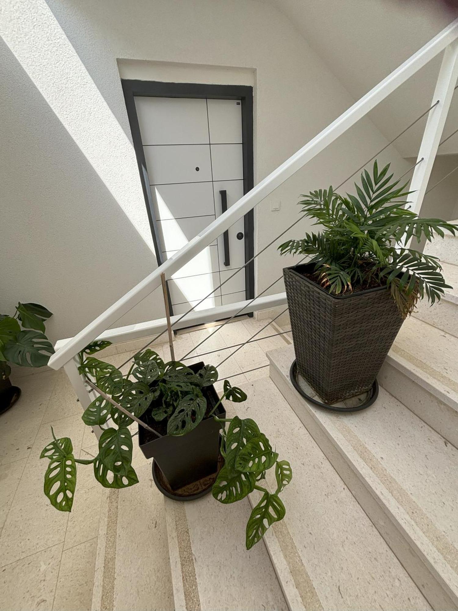 Vila Regina Apartment Rex With Swimming Pool 제제라 외부 사진